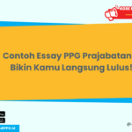 Contoh Essay PPG Prajabatan