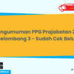 Pengumuman PPG Prajabatan 2024 Gelombang 3