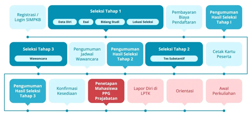 Daftar PPG Prajabatan 2024 - Tahapan Seleksi PPG Prajabatan 2024